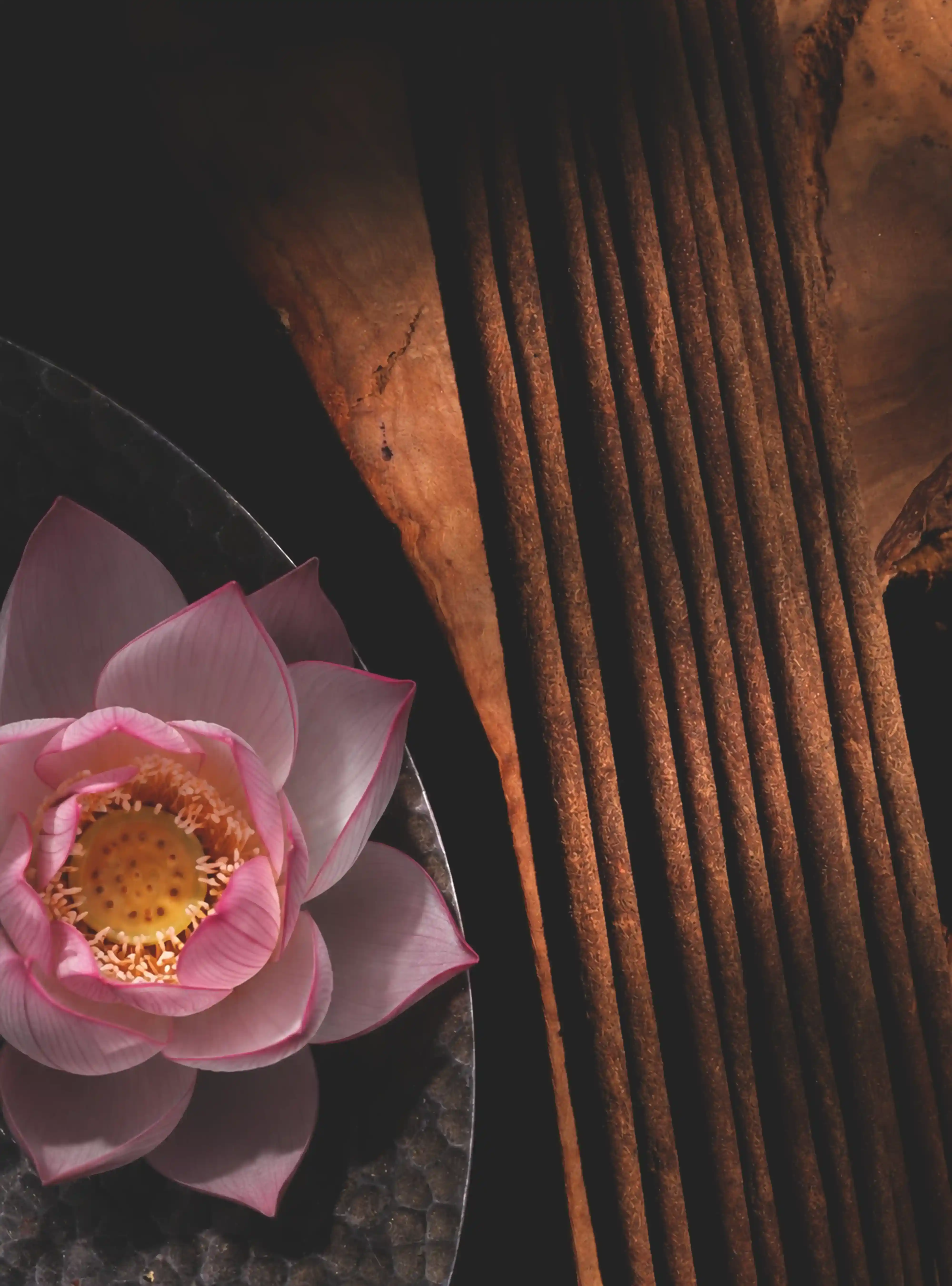 LOTUS BLISS 2