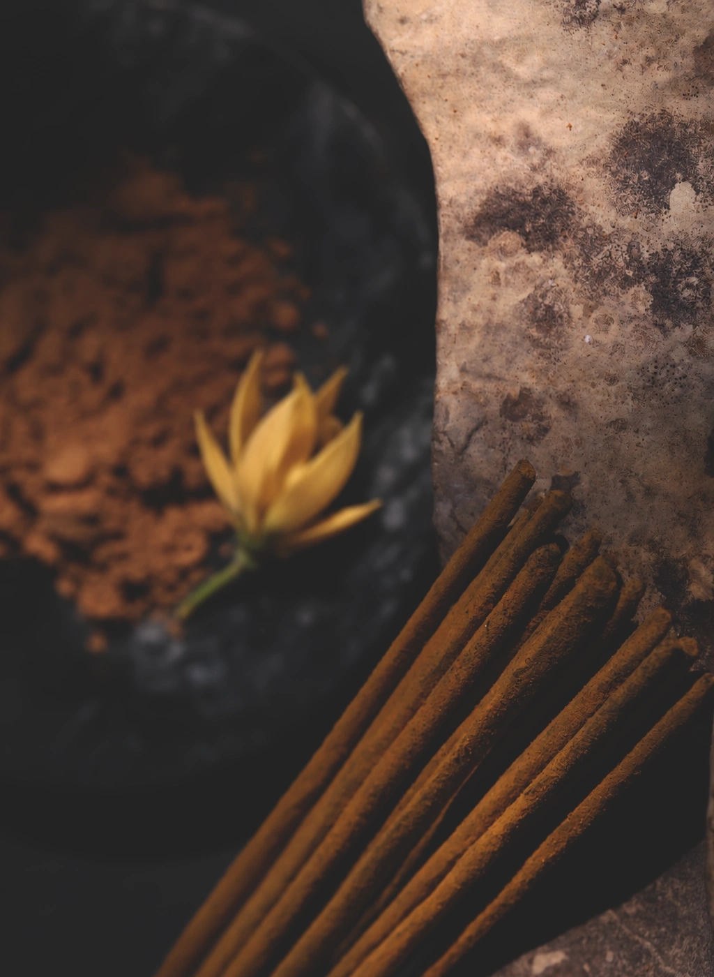 NAG CHAMPA 2