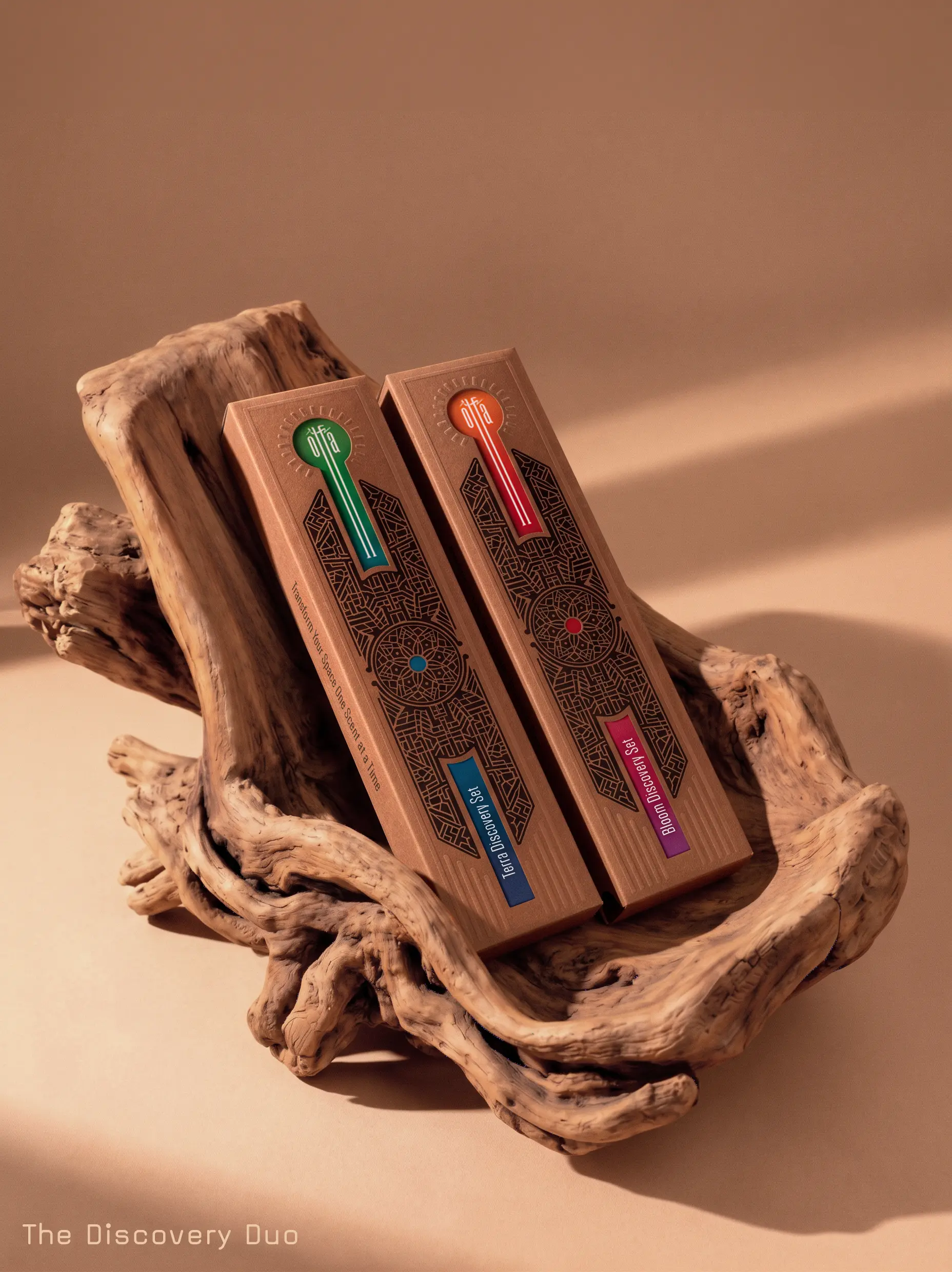 TERRA & BLOOM DISCOVERY SET 2
