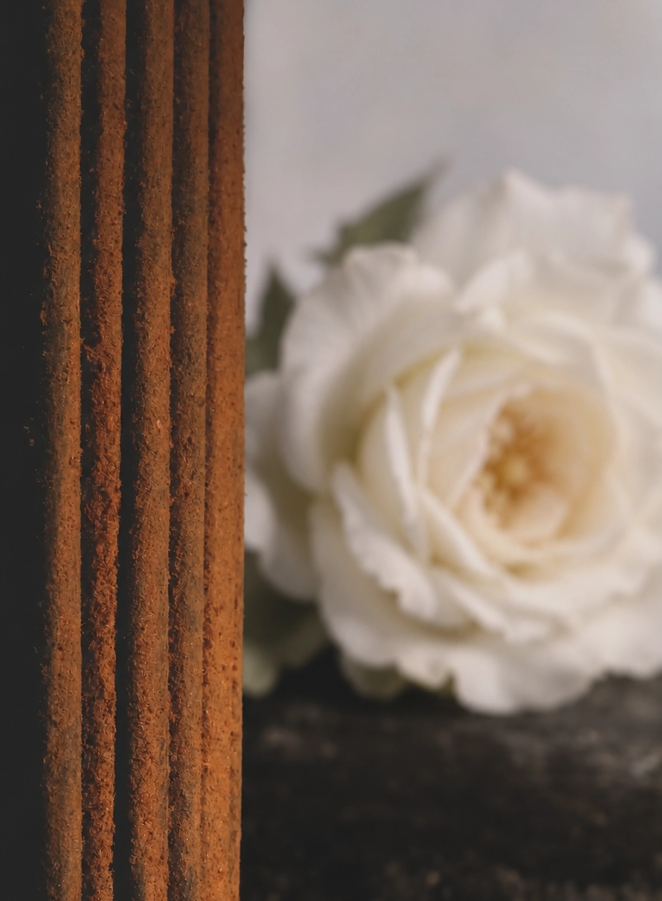 HIMALAYAN ROSE 2
