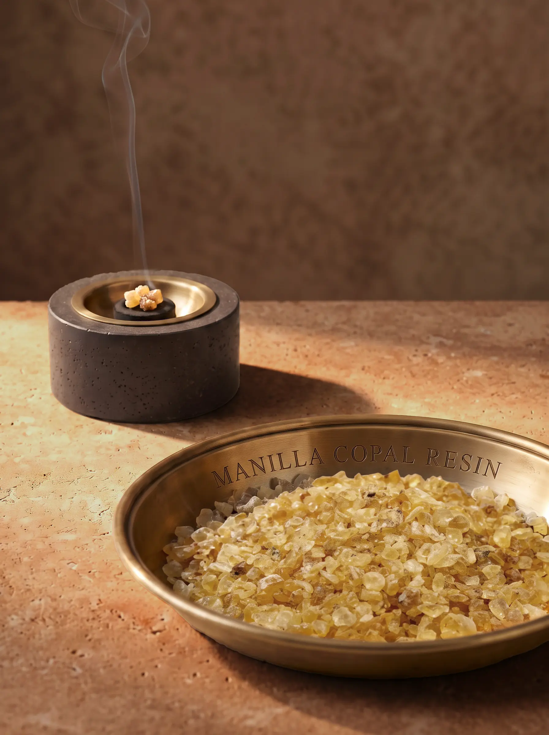 MANILA COPAL RESIN (Agathis dammara) 3