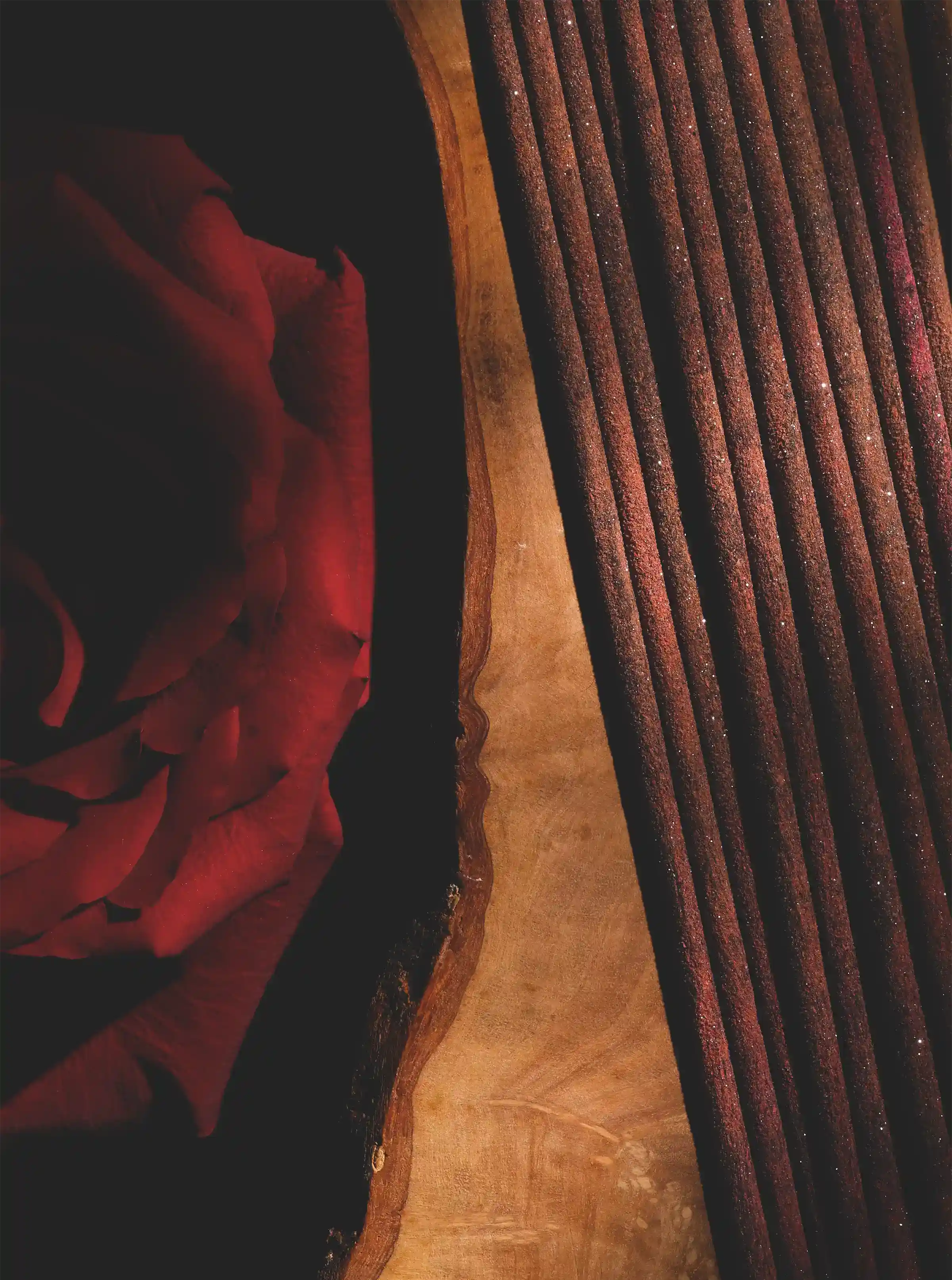 ROSE OF THE NILE 2